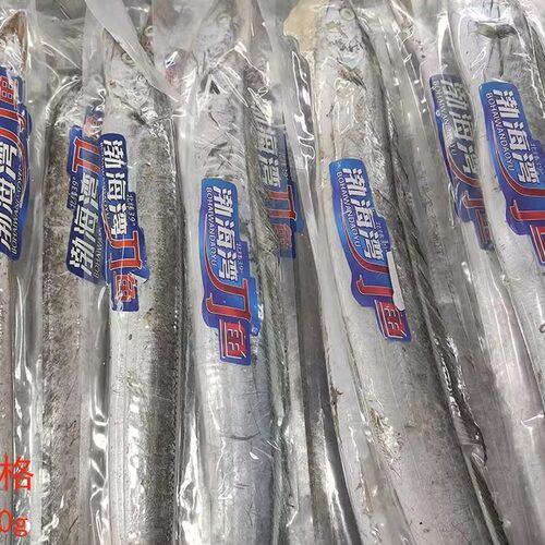 大连海鲜渤海刀鱼白眼整条带鱼