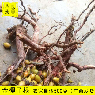金樱子根500g广西中药材脱骨丹金英子根农家山货无硫优质中药材