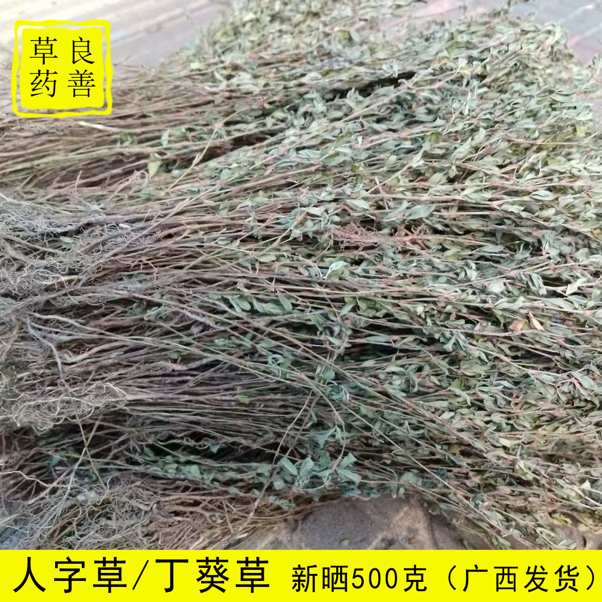 广西人字草中药材丁葵草 丁贵草 苍蝇翼 干货中药材三叶人字草