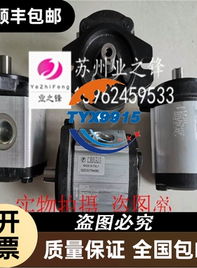 意大利RONZIO罗茨齿轮泵04DWCG110P640S泵头供应