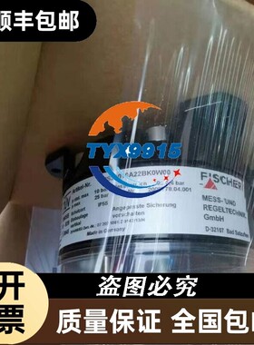 DS21010A22BK0W00 DS1104VA21BK DS2101TA22BK 变送器fischer