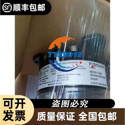 DS21010A22BK0W00 DS1104VA21BK DS2101TA22BK 变送器fischer