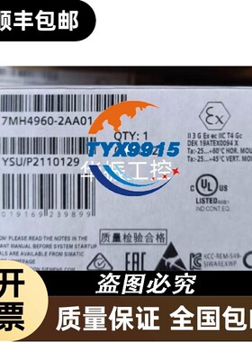 称重模块WP231，7MH4960-2AA01