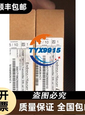 E+恩德斯豪斯变送器TMT122-A31AA ITEMP TMT122价