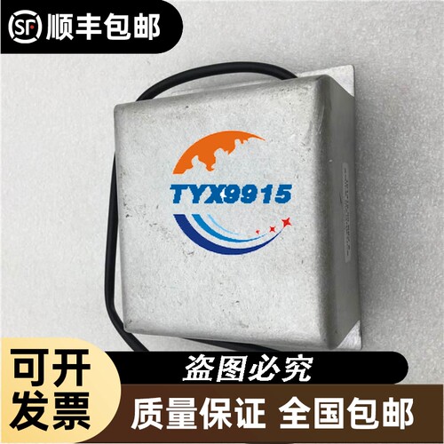 Thermo 101419.00 REV E AGILE MAGNETICS 高压模块实拍