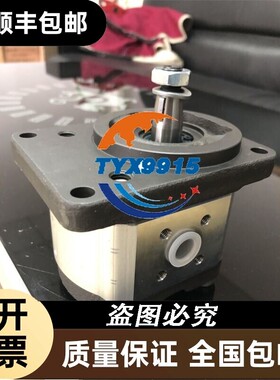 齿轮泵0510325006型号AZPF-11-005RCB20MB力士乐Rexroth