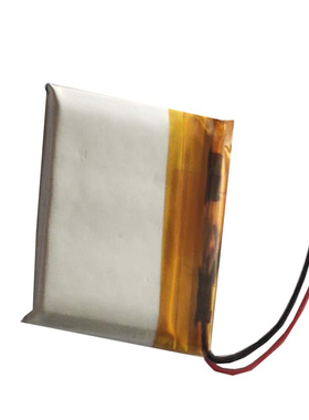 适用Forerunner 30手表电池361-00117-00