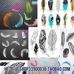 彩色羽毛白色透明浪漫孔雀翎平面设计矢量AI素材源文件合集