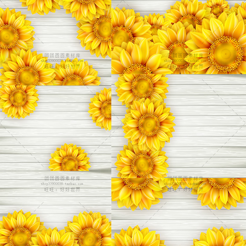 9EPS 矢量向日葵白色木板背景矢量平面设计植物花朵背景素材