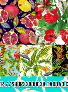 绿色高清热带植物芭蕉鹦鹉叶子背景包装素材矢量EPS源文件素材