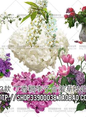PNG免抠 森系93款植物丁香稠李子含羞草花卉朵PS图片 设计素材