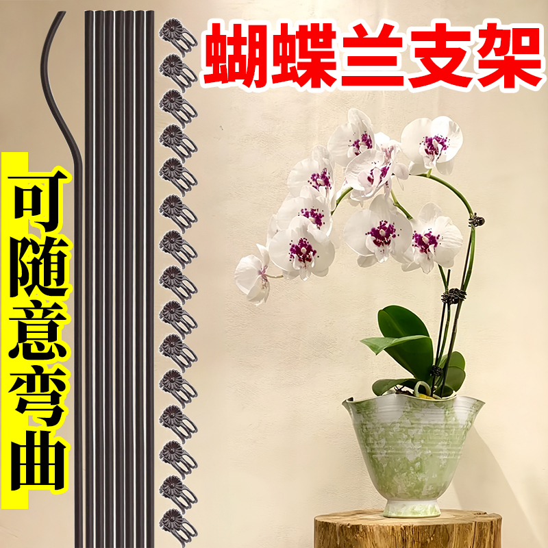 蝴蝶兰花支架兰夹子支撑杆植物爬