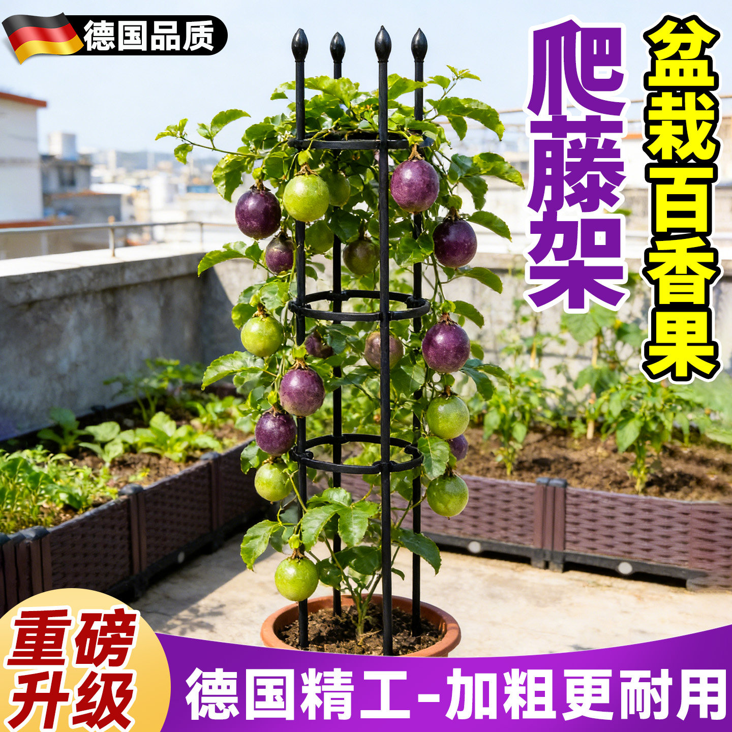 百香果盆栽爬藤架黄瓜番茄支架阳台楼顶种菜架子葡萄花盆支撑架图片