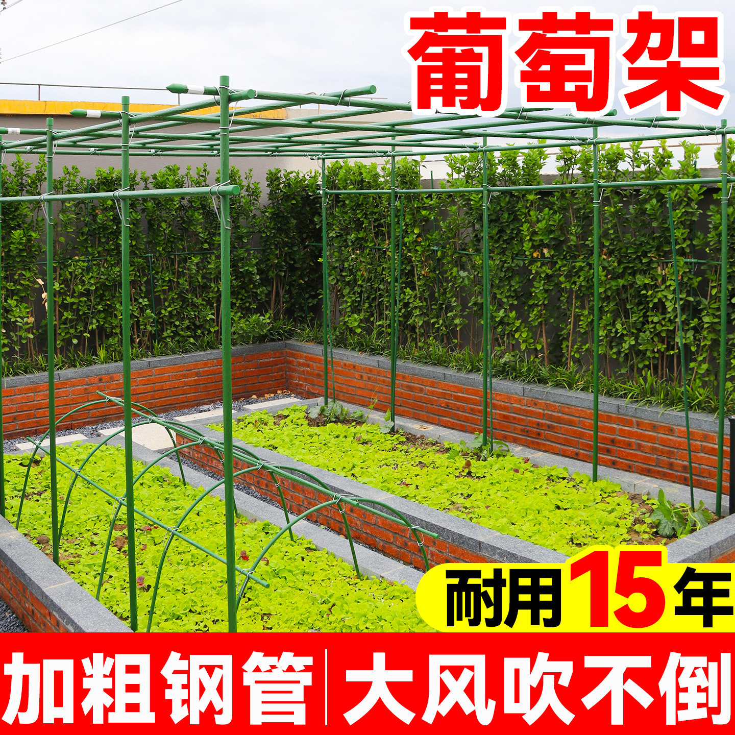 葡萄架子庭院户外葫芦爬藤架百香果攀爬架支撑包塑钢管瓜架杆家用