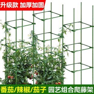 花架支撑杆菜园爬藤架番茄支撑架辣椒茄子植物固定杆楼顶种菜架子