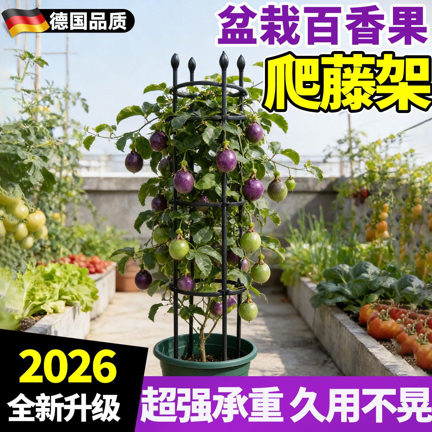 百香果爬藤架盆栽种菜架子葡萄花盆支撑架阳台楼顶黄瓜番茄支架图片