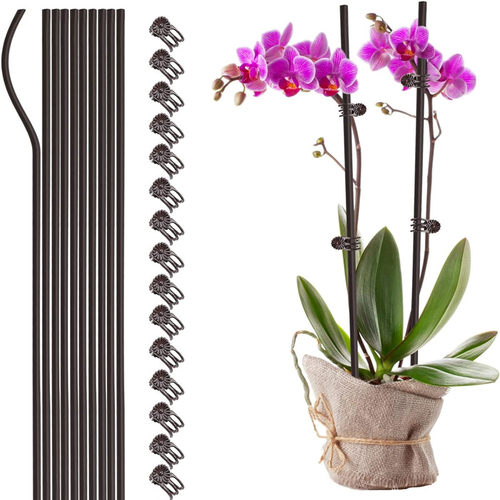 蝴蝶兰花支架兰夹子支撑杆植物