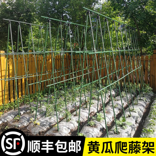 黄瓜爬藤架豆角蔬菜架杆植物固定支伸缩杆架子包塑钢管种菜专用架