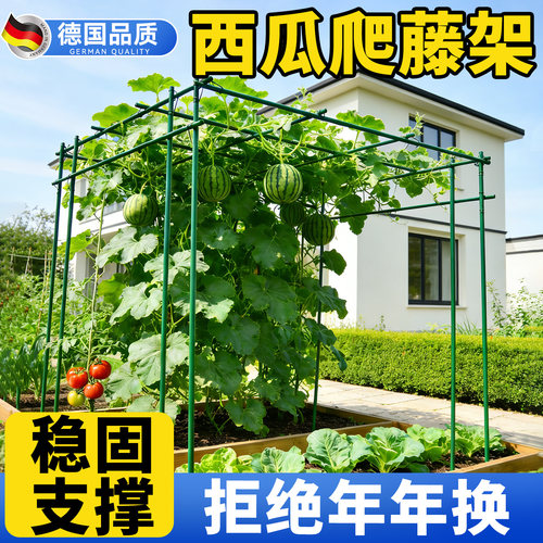 西瓜爬藤架葡萄架子庭院户外黄瓜架杆丝瓜百香果攀爬架搭棚子支架