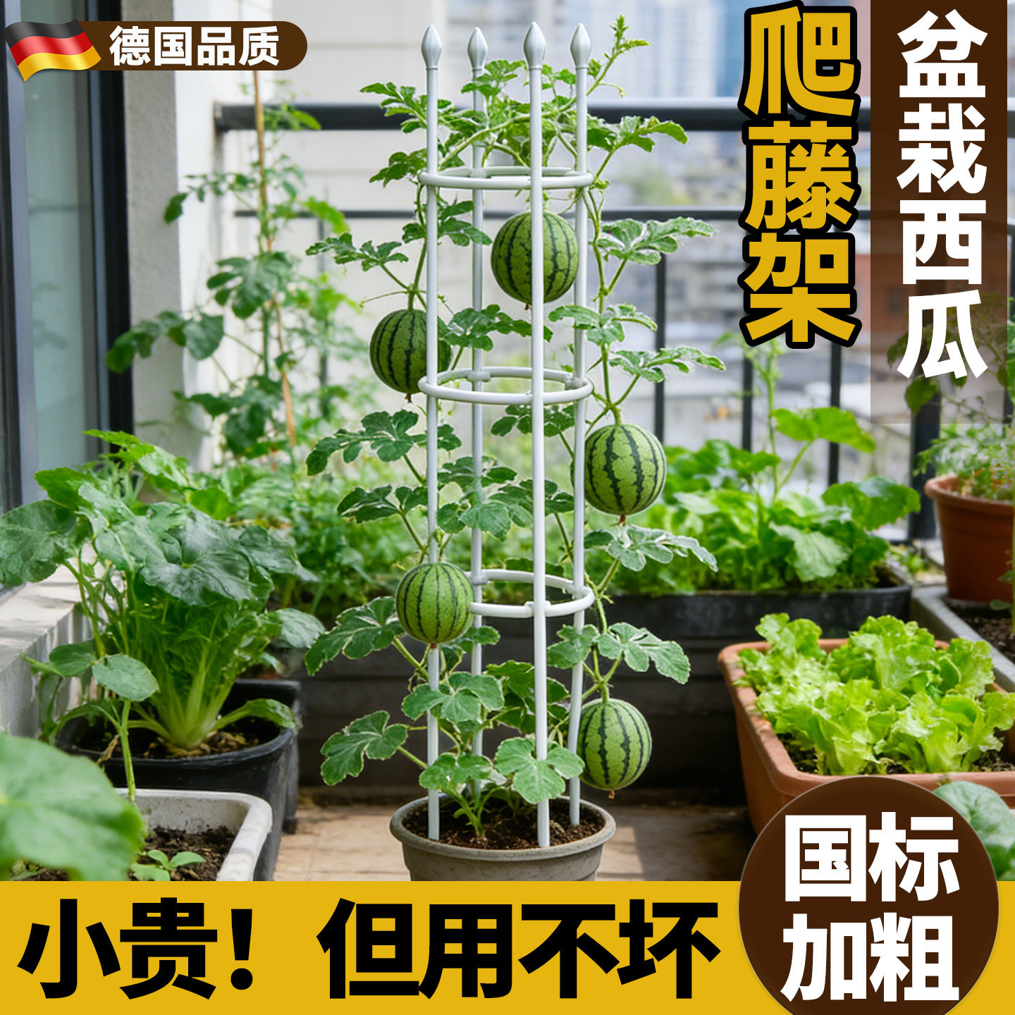 西瓜盆栽爬藤架子楼顶种菜支撑杆阳台黄瓜豆角番茄攀爬架花盆支架
