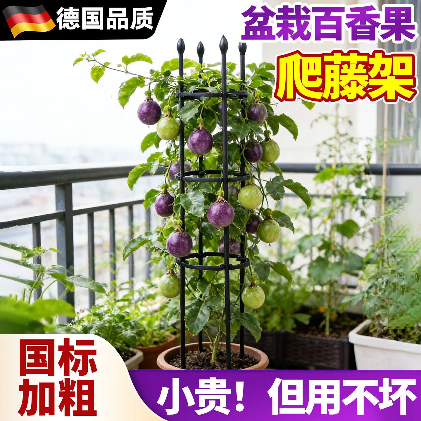 百香果爬藤架支撑架盆栽阳台楼顶种菜架子葡萄花盆黄瓜西红柿支架图片