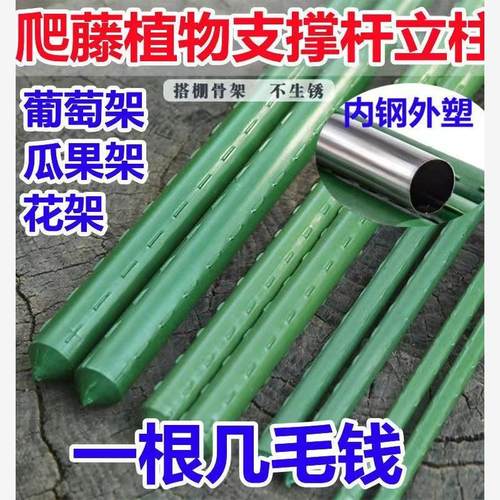 葡萄爬藤架种菜子豆角花支庭院卉