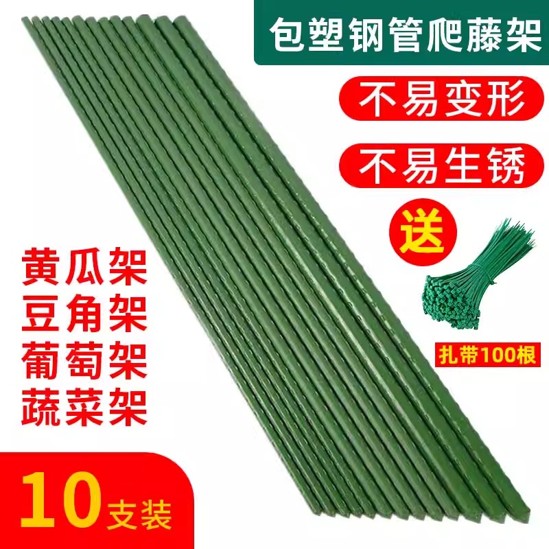 爬藤架花架葡萄番茄豆角架黄瓜架