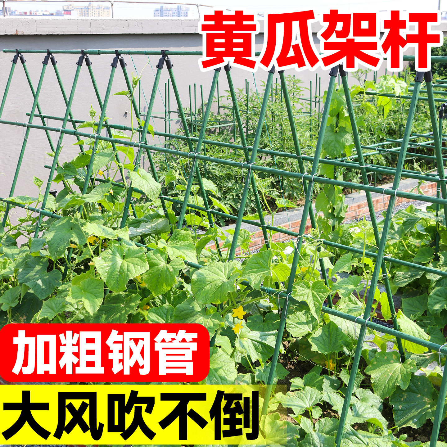 黄瓜架杆楼顶种菜架子丝瓜豆角蔬菜爬藤架搭棚子支架西红柿支撑杆图片