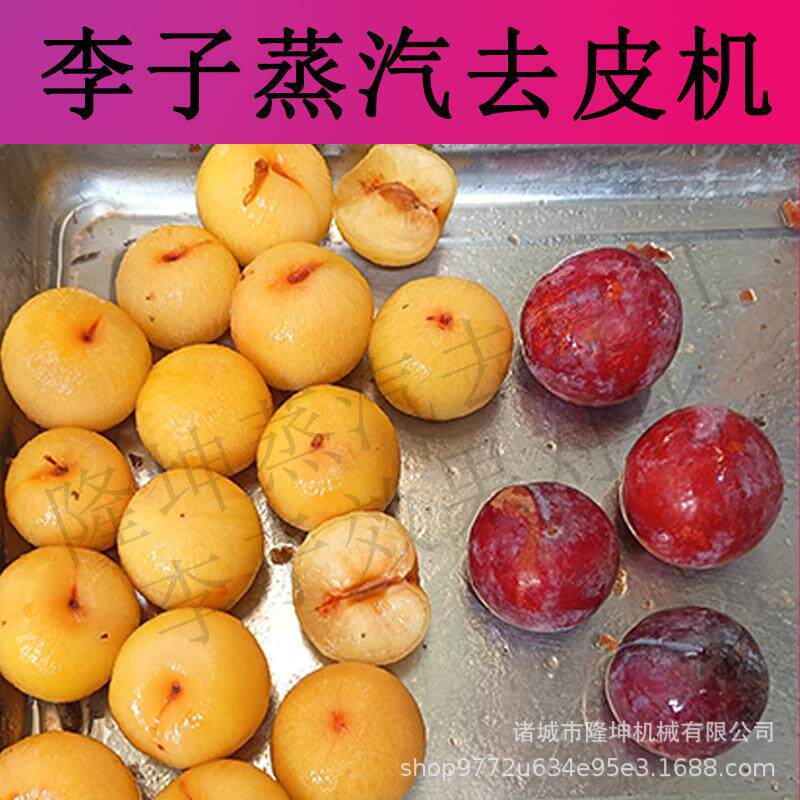 山东李子去皮机 大型全自动黄桃葡萄爆皮机 多功能土豆红薯脱皮机