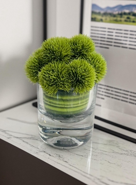 绿色现代简约前台葱球仿真小桌花