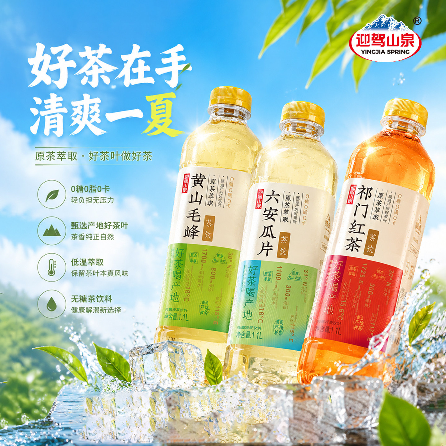 【团购】迎驾山泉无糖茶1.1L*6瓶