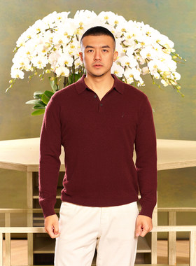 AllenXie山羊绒羊毛Polo衫