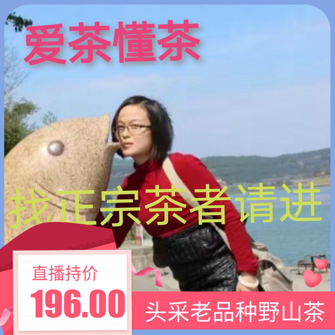 信阳毛尖绿茶新茶云雾手工野山茶明前头采嫩茶茶农自销250g散装