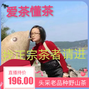 信阳毛尖绿茶新茶云雾手工野山茶明前头采嫩茶茶农自销250g散装