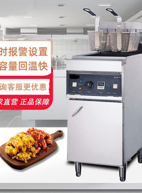 佳斯特商用立式电炸炉单缸双筛新粤海电炸锅鸡翅EF-28L-2JUSTA