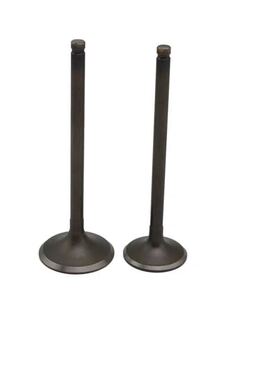 吉奥皮卡财运100 300帅舰发动机气门进气门排气门4L22CR4L20莱动