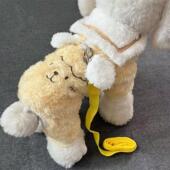 宠物可爱双面加绒保暖四脚衣泰迪比熊博美小型犬狗狗秋冬外出衣服