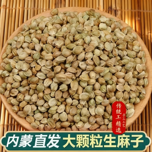 新鲜日期生人吃零食火麻子内蒙古产地直供新鲜大颗粒生火麻籽仁