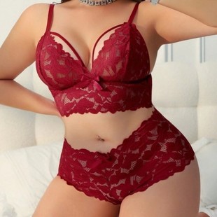 Plus Size Curvy Women's Sexy Lingerie Lace Sheer Temptation