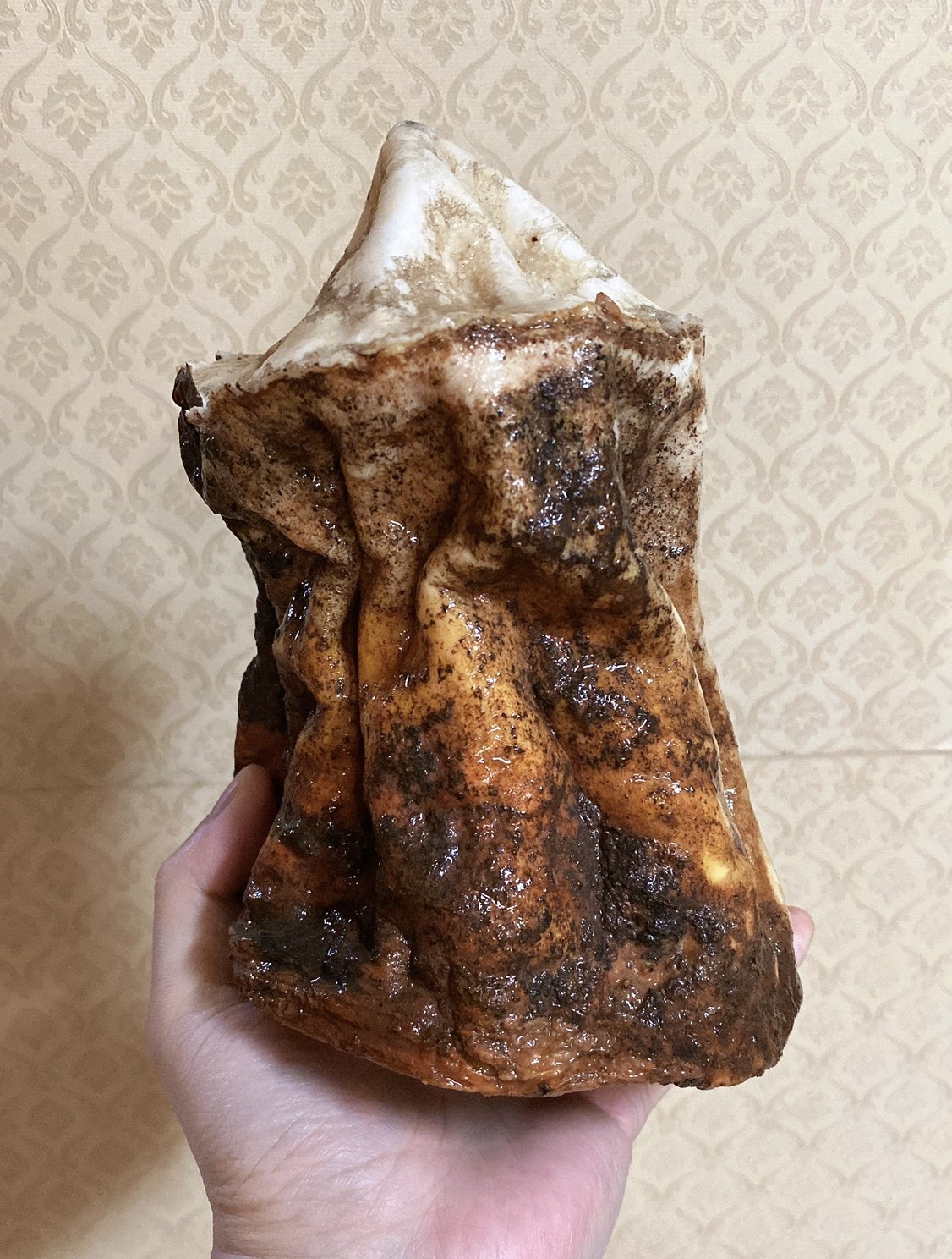 【精品老肉太岁】太岁 肉灵芝 老皮老肉 肉质结实 2斤