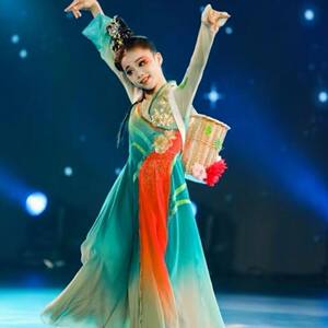 采菊东篱下古典舞演出服女飘逸中国风汉唐独舞大摆裙艺考舞蹈服装