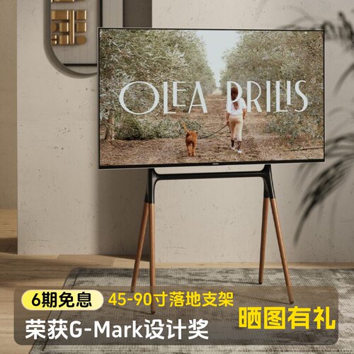 北弧北狐电视落地支架实木艺术