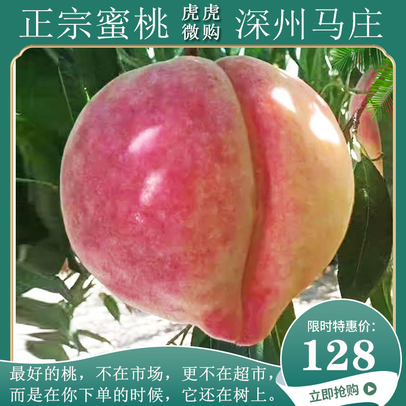 深州蜜桃个大汁多送礼佳品正宗西马庄特产蜜桃现摘现发顺丰包邮