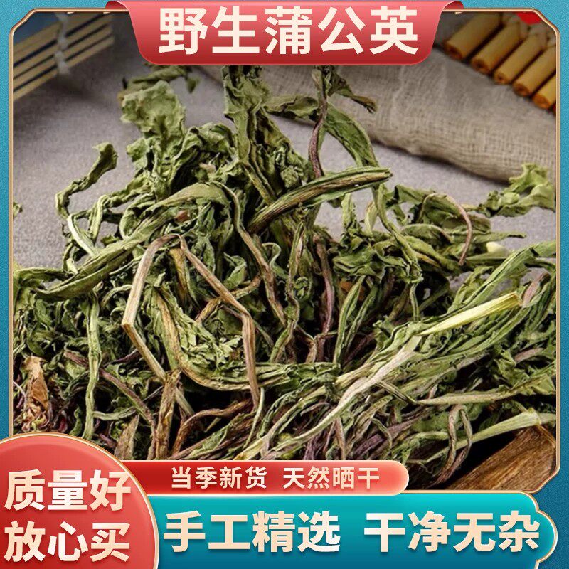 蒲公英干草正品特级中草药婆泡茶水喝
