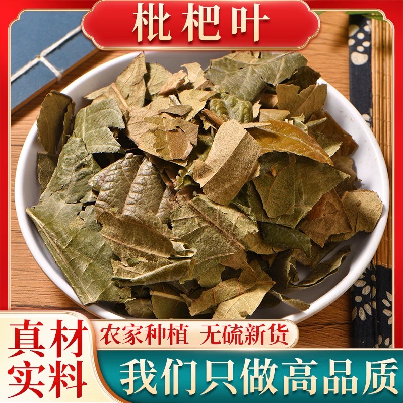 精选正宗枇杷叶中药材晾晒干燥绒毛质地酥脆大片叶子干货筛选干净