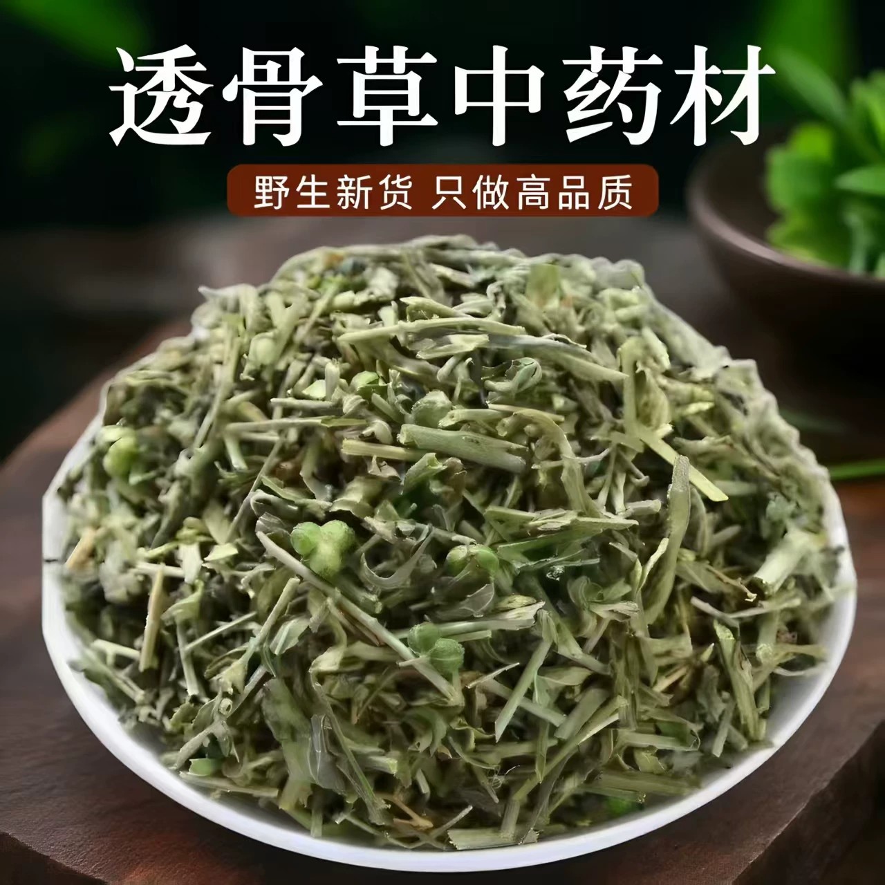 珍珠透骨草中药材正品野生透骨草泡脚非凤仙透骨草伸筋草新鲜晾晒
