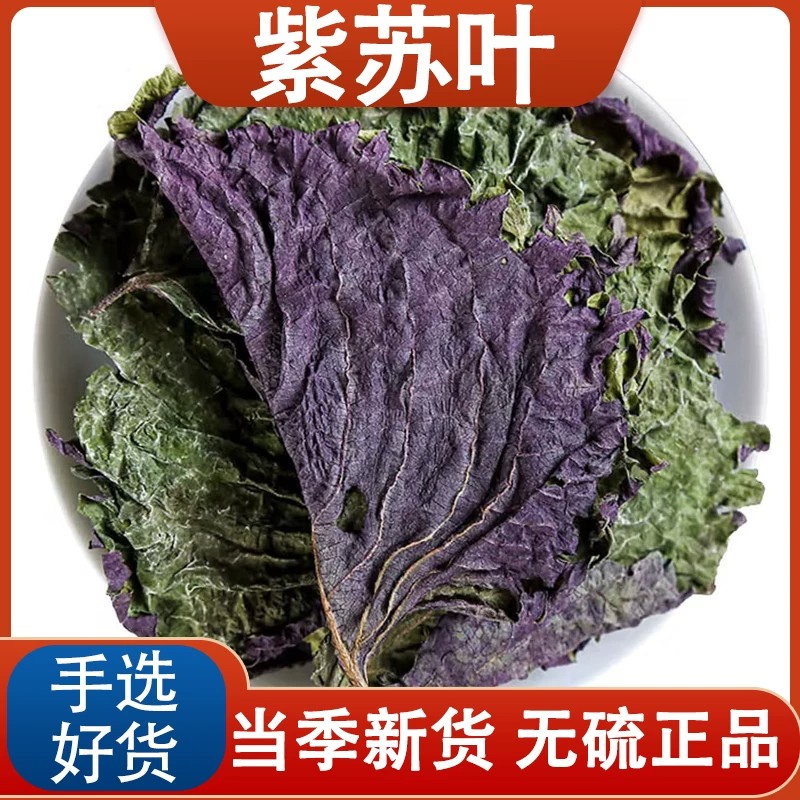 正品紫苏叶中药材天然新鲜紫苏叶干泡茶烧鱼虾蟹去腥香料泡脚儿童