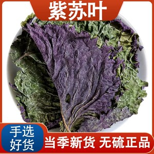 正品紫苏叶中药材天然新鲜紫苏叶干泡茶烧鱼虾蟹去腥香料泡脚儿童