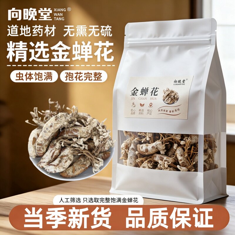 正宗优质金蝉花完整大个饱满质轻纯天然金蝉花晒干中药材无硫干货