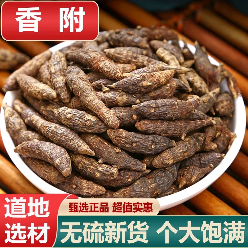 香附子中药材精选正宗新货特级香附晾晒干货香付香头饱满无硫原色